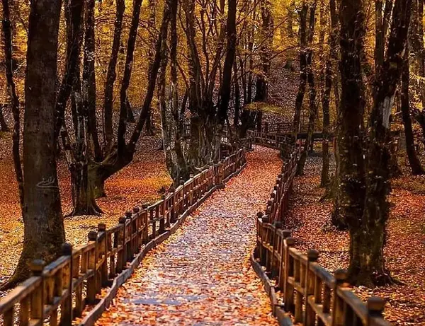 عکس های دیدنی گرگان
