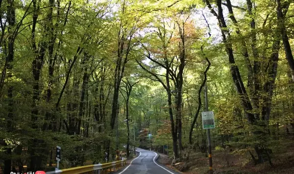 عکس های دیدنی گرگان