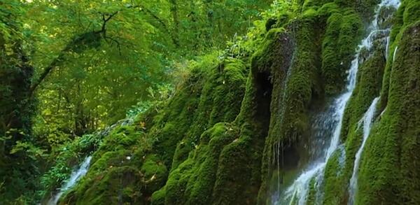 عکسهای دیدنی از طبیعت