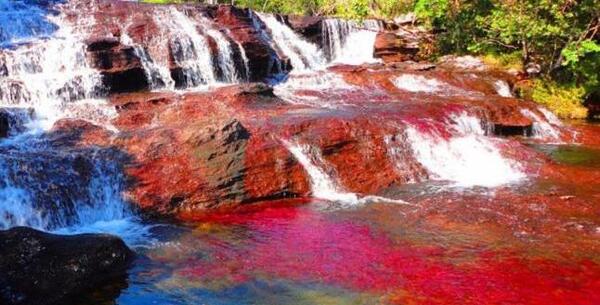 عکسهای دیدنی از طبیعت
