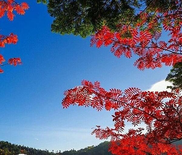 عکس های دیدنی از طبیعت