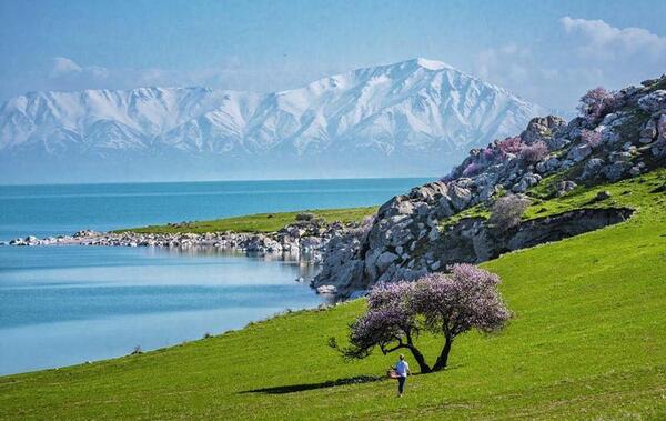 عکس های دیدنی وان ترکیه