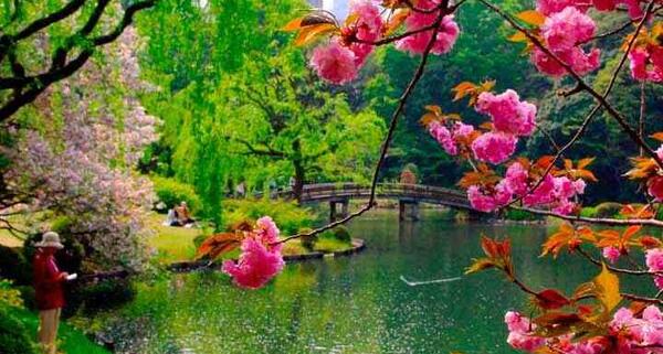 عکس های دیدنی ژاپن
