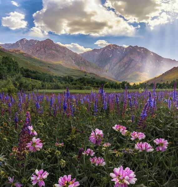 عکس زیبا دیدنی