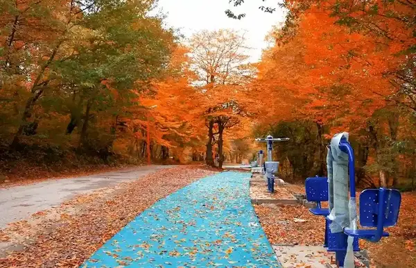 عکس جاهای دیدنی زیبا