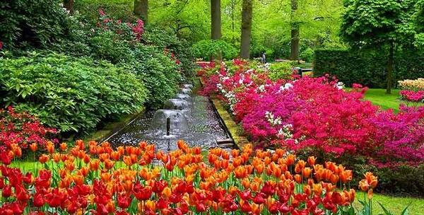 عکس های زیبای دیدنی