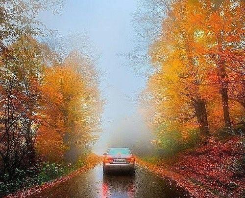 عکس های دیدنی و زیبا