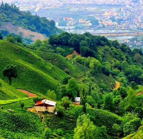 عکس های دیدنی رامسر
