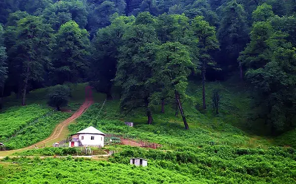 عکس های دیدنی رامسر