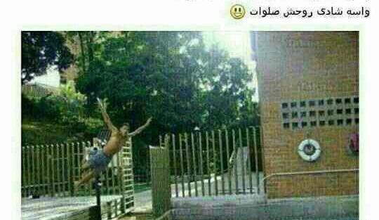 عکس های دیدنی خنده دار