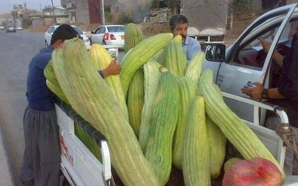 عکس های دیدنی خنده دار