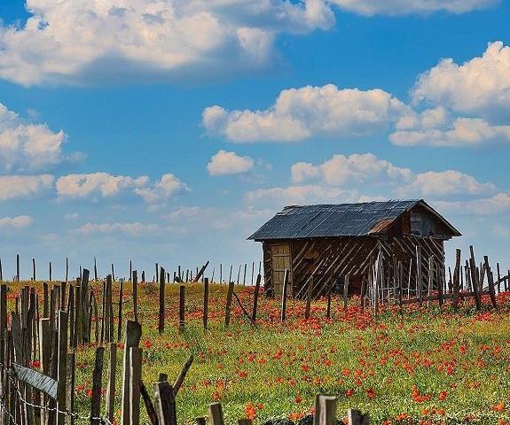 عکس جاهای دیدنی تالش