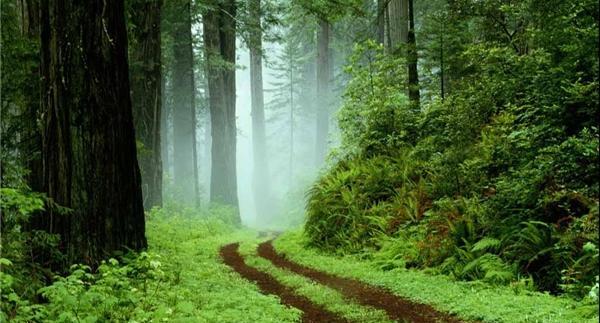 عکس جاهای دیدنی تالش