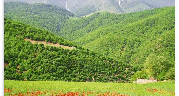 عکس جاهای دیدنی بروجرد