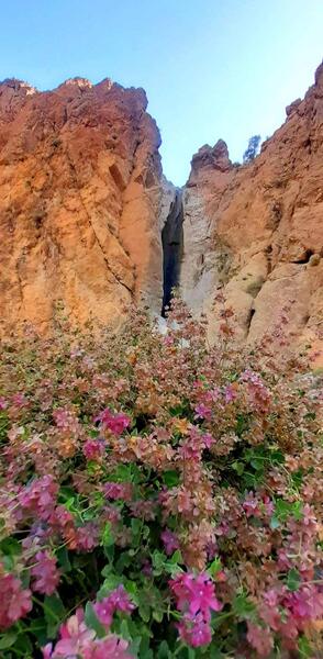 عکس جاهای دیدنی بیرجند