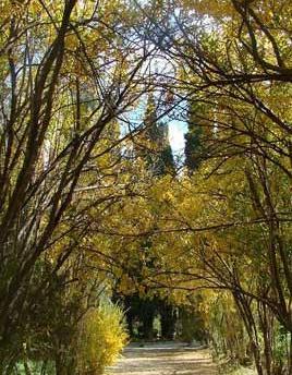 عکس از جاهای دیدنی بیرجند