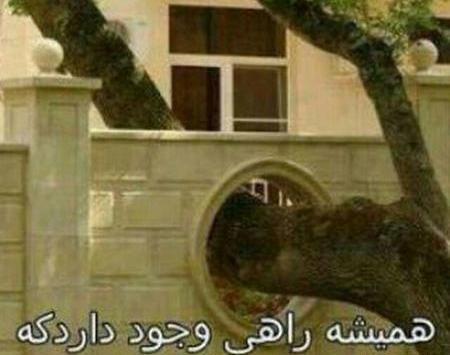 عکس پروفایل دیدنی