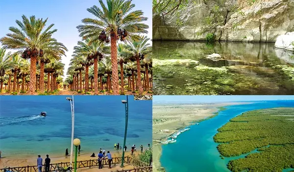 عکس جای دیدنی بوشهر