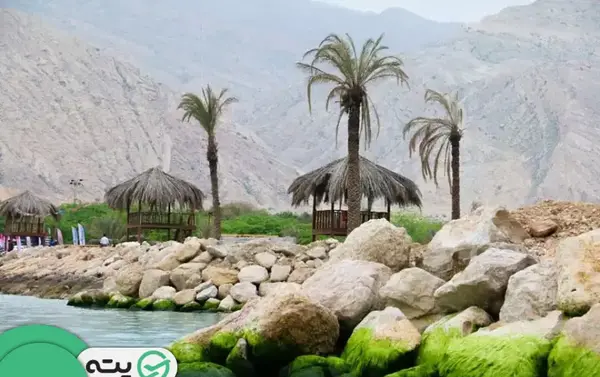 عکس جاهای دیدنی استان بوشهر