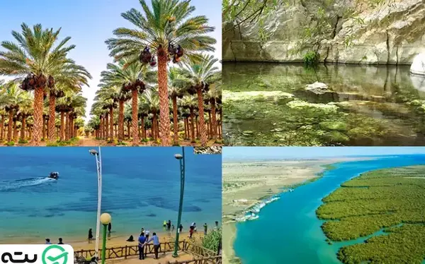 عکس جاهای دیدنی استان بوشهر