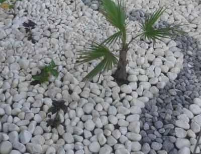 عکس سنگ سفیدی