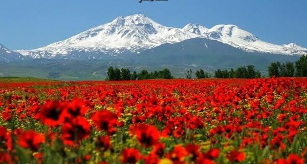 عکس های زیبا از جاهای دیدنی ایران
