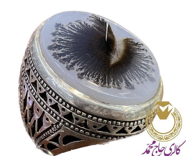 عکس سنگ شجر درختی