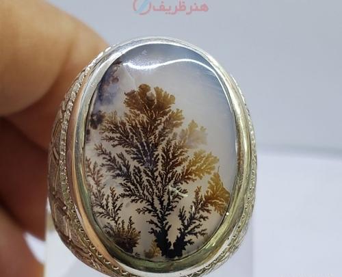 عکس سنگ شجر درختی