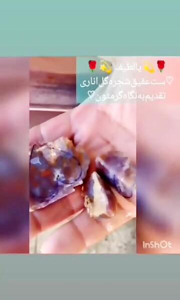عکس سنگ شجر گل اناری