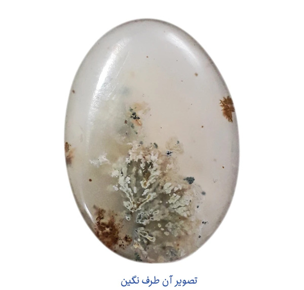 عکس سنگ شجر بهاری