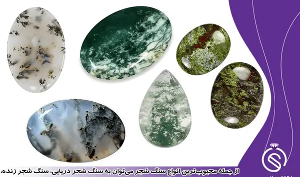 عکس سنگ شجر بهاری