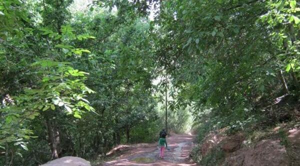 جاهای دیدنی لواسان با عکس