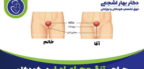 عکس جایی که ازش جیش میاد واقعی
