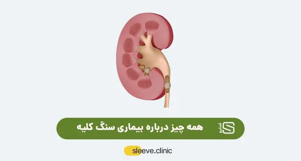 عکس سنگ گرده