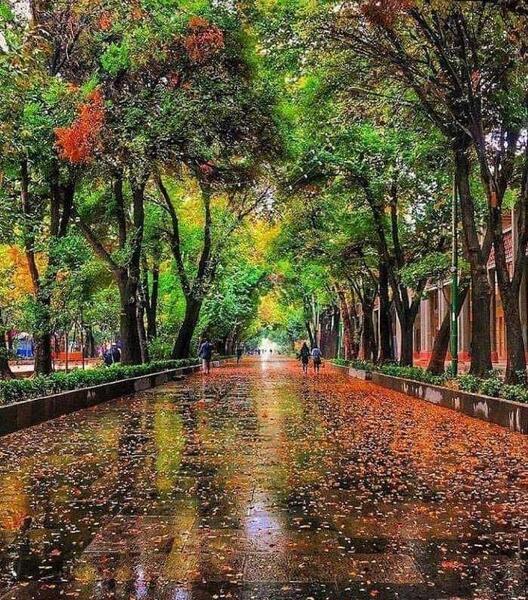 عکس قشنگ ترین جاهای ایران