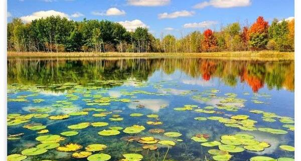 عکس قشنگ ترین جاهای ایران