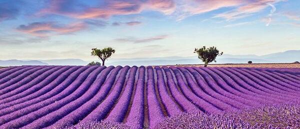 جاهای دیدنی فرانسه با عکس
