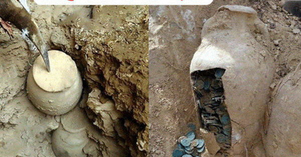 عکس خاکی که طلا دارد