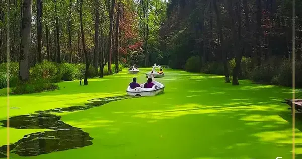 عکس جاهای دیدنی شهر رشت