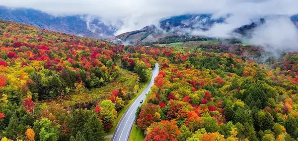 عکس از جاهای دیدنی رامسر