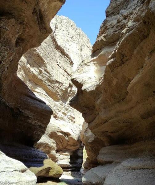 جاهای دیدنی رفسنجان با عکس