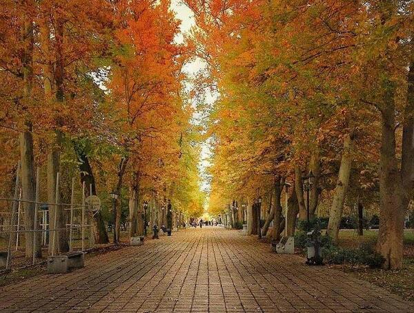 عکس های زیبا از جاهای دیدنی رشت