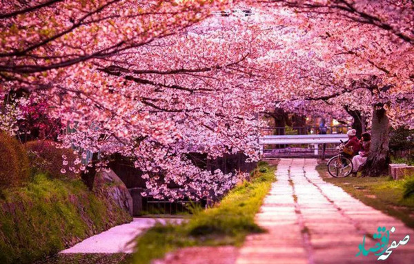 جاهای دیدنی شیراز برای عکس گرفتن