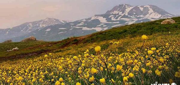 عکس جاهای دیدنی ارومیه