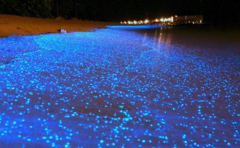 عکس از جاهای دیدنی چابهار
