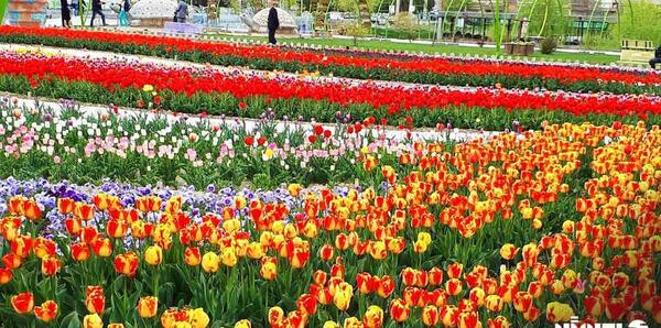 عکس از جاهای دیدنی ارومیه