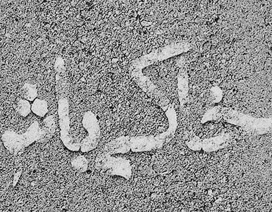 عکس خاکی بودن