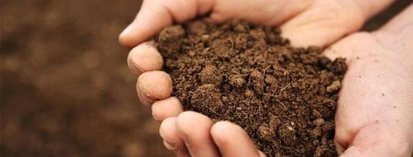 عکس خاکی بودن