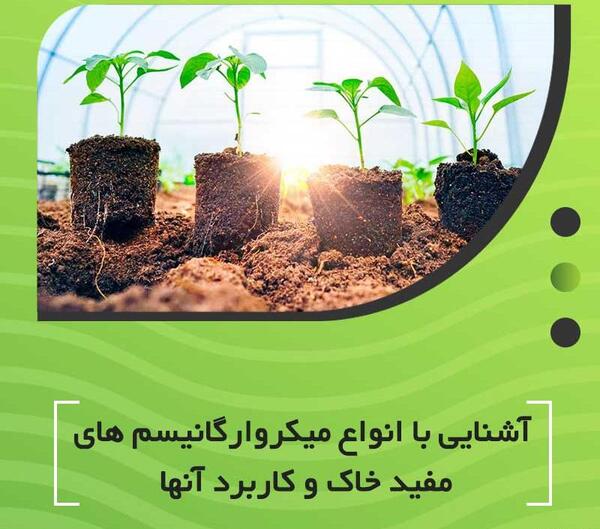 عکس گیاخاک