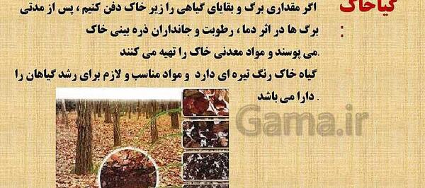 عکس گیاخاک